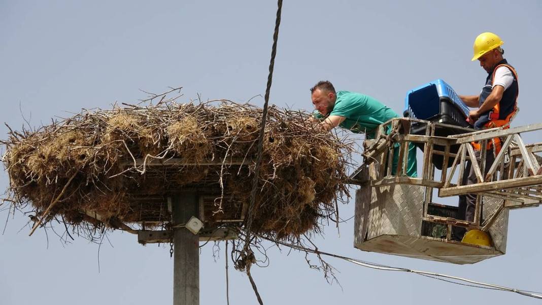 Yaren leylek ile eşi Nazlı'dan 10 gün sonra sevindiren haber! Su ve mineral kaybı ile enfeksiyon vardı 33